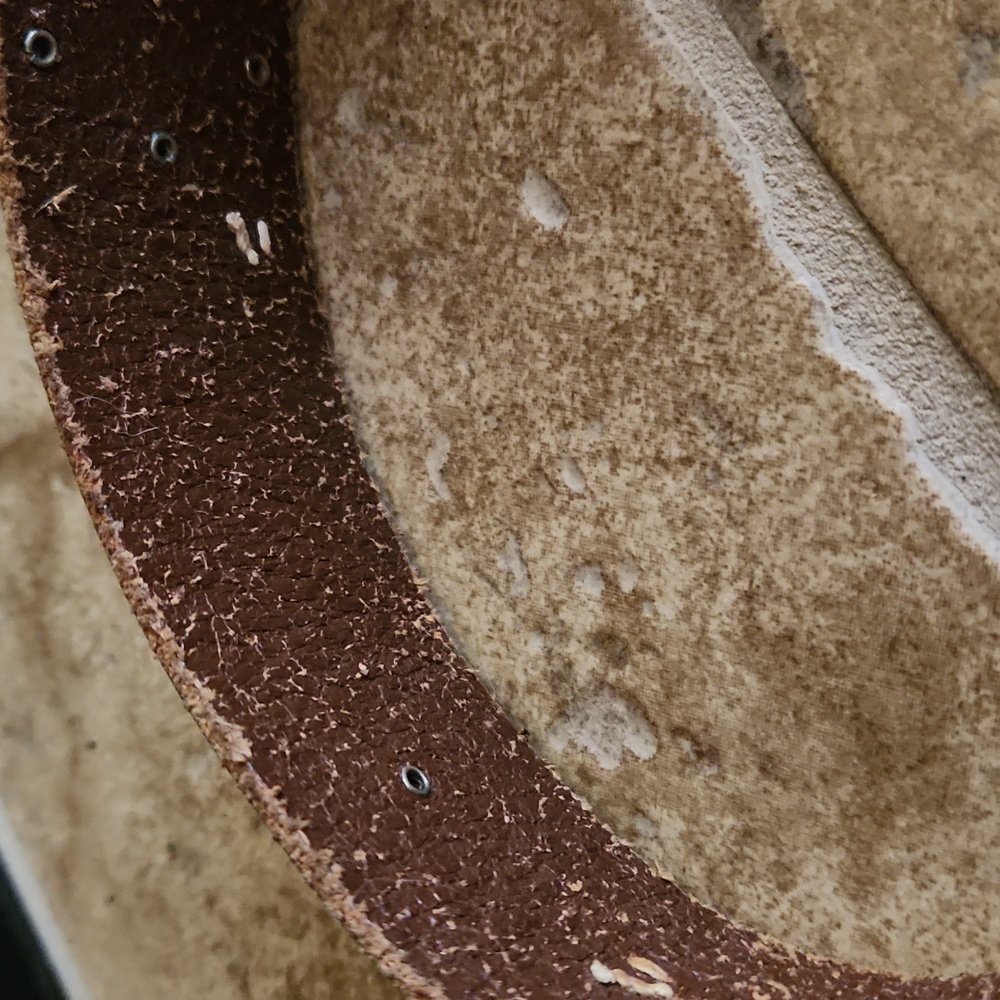 Fossil Floral Patterned Leather Belt - Picture 10 of 11